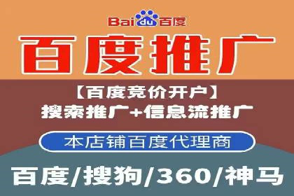 某某SEM团队成功案例：广告投放策略揭秘